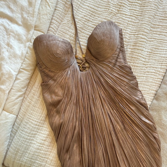 Maria Lucia Hohan Pleated Dress in Creme Brulee - Picture 3 of 7